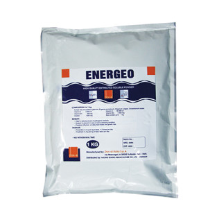 ENERGEO